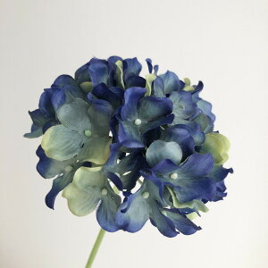 yԁzF4057 nChWAsbN005 u[/66-792437-0y01z ԁiA[eBtBVt[j  ԍށusv izԁj