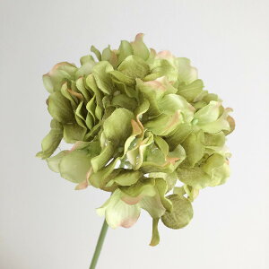 yԁzF4057 nChWAsbN024 O[/66-792451-0y01z ԁiA[eBtBVt[j  ԍށusv izԁj