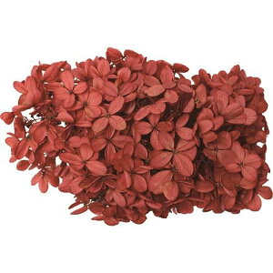 yvU[uhzGARDEN PALETTE MONO/s~bhAWTC xCNhAbv 1/GPPK-02y01z vU[uht[ vU[uht[ԍ izԁj