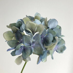 yԁzYDM/nChWAsbN u[/FA-7163-BLUy01z ԁiA[eBtBVt[j  ԍށusv izԁj