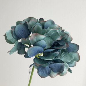 yԁzYDM/nChWAsbN _[Nu[/FA-7163-D/By01z ԁiA[eBtBVt[j  ԍށusv izԁj