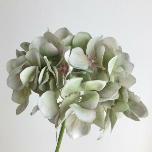 yԁzYDM/nChWAsbN O[r[eB[/FA-7163-G/By01z ԁiA[eBtBVt[j  ԍށusv izԁj