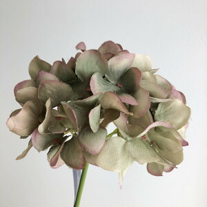 yԁzYDM/nChWAsbN O[/FA-7163-GRYy01z ԁiA[eBtBVt[j  ԍށusv izԁj