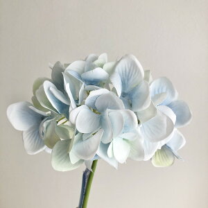 yԁzYDM/nChWAsbN Cgu[/FA-7163-LBLy01z ԁiA[eBtBVt[j  ԍށusv izԁj