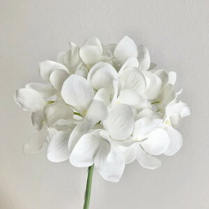 yԁzYDM/nChWAsbN zCg/FA-7163-Wy01z ԁiA[eBtBVt[j  ԍށusv izԁj