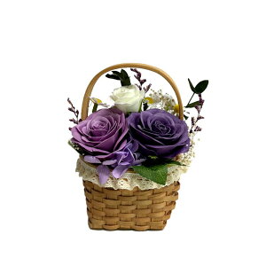 �y�\�[�v�t�����[�z�A���[���E�f�E�t���[��/�V�����y�g���E�A���E�p�j�G ���x���_�[/AM25CPL�y07�z �v���U�[�u�h�t�����[ �t���O�����X�\�[�v�t�����[ �\�[�v�t�����[�����i�M�t�g �v���[��