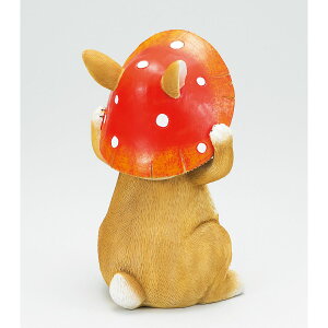 GC`c[I[/̂XqrbgS/H9682y01z K[fjOE|pi K[fjOG݁EI[ig uEI[ig