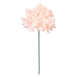 yԁzMAGIQ/VnChWA #46 CR/PK N[sN/FM005120-046y01z[12{] ԁiA[eBtBVt[j  ԍށusv izԁj