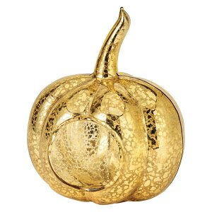 /S[hpvL10/GG000661y01z X܃fBXvCEX nEBfBXvC uEIuWF