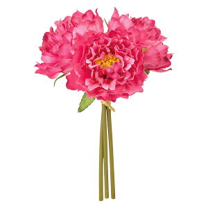 yԁzMAGIQ/xeBsIj[oh #16 BEAUTY r[eB/FM005715-016y01z ԁiA[eBtBVt[j  ԍށusv VNNi䉖jE{^iOjEsIj[