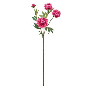 yԁzMAGIQ/t@rXsIj[ #16 BEAUTY r[eB/FM000655-016y01z ԁiA[eBtBVt[j  ԍށusv VNNi䉖jE{^iOjEsIj[