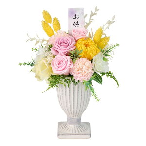 yvU[uhzԒ(傤)/ZY004908y01z vU[uht[ vU[uht[Mtg ԁidEj