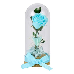 y\[vt[zpEhEOX Cgu[/DMAM25PG-00By01z vU[uht[ vU[uht[Mtg AWg