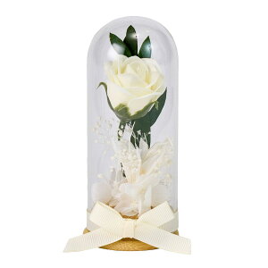 y\[vt[zpEhEOX zCg/DMAM25PG-00Wy01z vU[uht[ vU[uht[Mtg AWg