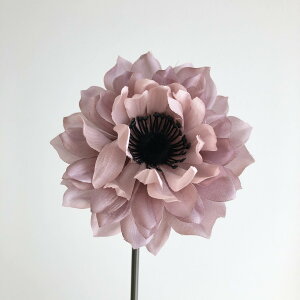 yԁzAXJ/AllsbN@#017 CbN/A-33454-17y01z ԁiA[eBtBVt[j  ԍށusv All