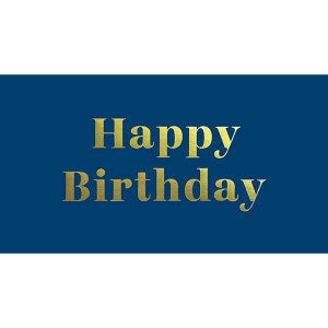 `LEO[eBOX/MtgJ-h G|541 50/G-541y01z bsOpi A bZ[WJ[h aEo[Xf[J[h