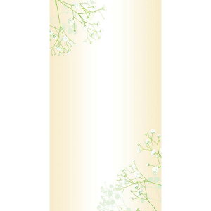 `LEO[eBOX/MPDJ-h MP|86 20/MP-86y01z bsOpi A bZ[WJ[h O[eBOJ[h