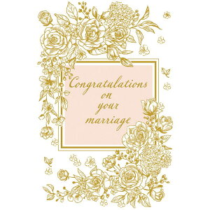 `LEO[eBOX/jJ-h G250|105/G250-105y01z[5] bsOpi A bZ[WJ[h O[eBOJ[h