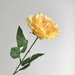 yԁzYDM/VO[Y CG[/FF-3078Yy01z ԁiA[eBtBVt[j  ԍށu͍sv o