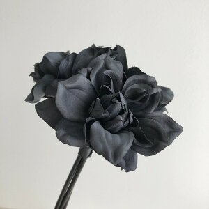 yԁzAXJ/_A@i13{j@ubN/A-39644-100y01z ԁiA[eBtBVt[j  ԍށusv _A