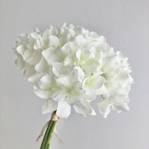 yԁzAXJ/nChWAo`(13{) zCgO[/A-34127-52y01z ԁiA[eBtBVt[j  ԍށusv izԁj