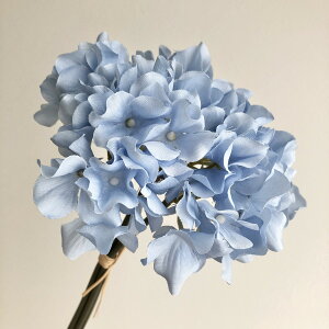 yԁzAXJ/nChWAo`(13{) Cgu[/A-34728-19y01z ԁiA[eBtBVt[j  ԍށusv izԁj