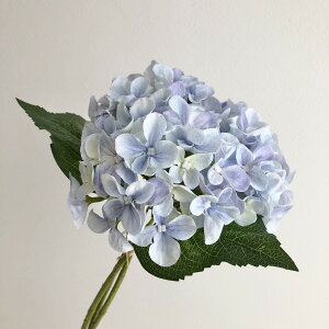 yԁzAXJ/nChWAo`i13{j Cgu[/A-35203-19y01z ԁiA[eBtBVt[j  ԍށusv izԁj