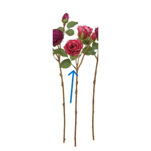 yԁzAXJ/[Y×2 ڂ×1 r[eB/A-35314-22y01z ԁiA[eBtBVt[j  ԍށu͍sv o