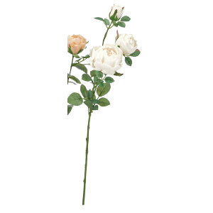 yԁzAXJ/[Y×2 ڂ×1 Vy/A-35266-27y01z ԁiA[eBtBVt[j  ԍށu͍sv o