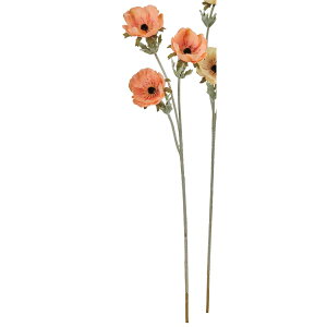 yԁzAXJ/All×3 R[/A-35327-13Ay01z ԁiA[eBtBVt[j  ԍށusv All