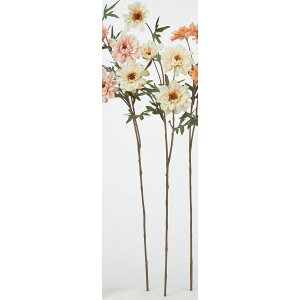 yԁzAXJ/f[W[×5 N[CG[/A-35305-11Yy01z ԁiA[eBtBVt[j  ԍށusv f[W[