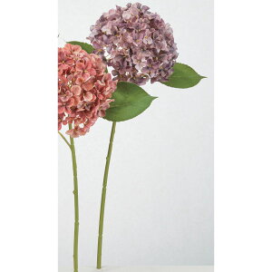 yԁzAXJ/nChWA AeC[N[u/A-35295-55Ay01z ԁiA[eBtBVt[j  ԍށusv izԁj