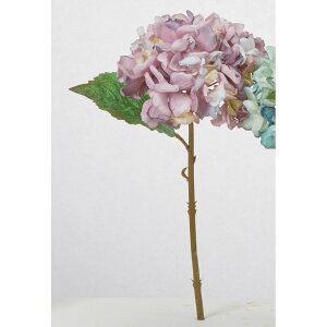 yԁzAXJ/nChWA p[v/A-35297-7y01z ԁiA[eBtBVt[j  ԍށusv izԁj