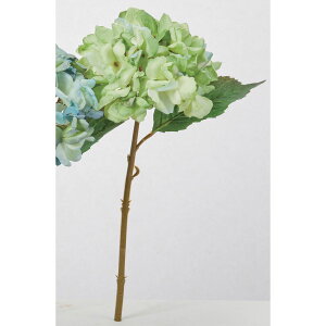 yԁzAXJ/nChWA CgO[/A-35297-52By01z ԁiA[eBtBVt[j  ԍށusv izԁj