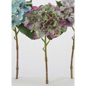 yԁzAXJ/nChWA O[p[v/A-35298-53Py01z ԁiA[eBtBVt[j  ԍށusv izԁj