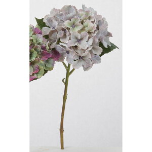 yԁzAXJ/nChWA OC[u/A-35298-63My01z ԁiA[eBtBVt[j  ԍށusv izԁj