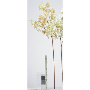 yԁzAXJ/ubTXv[×114 \tgCG[sN/A-35306-20Ky01z ԁiA[eBtBVt[j  ԍށu͍sv ̑u͍svԉԍ