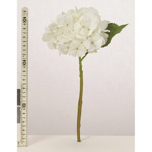 yԁzAXJ/nChWA zCg/A-35334-1y01z ԁiA[eBtBVt[j  ԍށusv izԁj