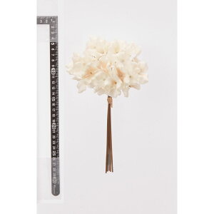 yԁzAXJ/nChWAo`(15{) zCgx[W/A-35248-1Dy01z ԁiA[eBtBVt[j  ԍށusv izԁj