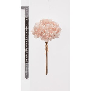 yԁzAXJ/nChWAo`(15{) sNx[W/A-35248-3Hy01z ԁiA[eBtBVt[j  ԍށusv izԁj