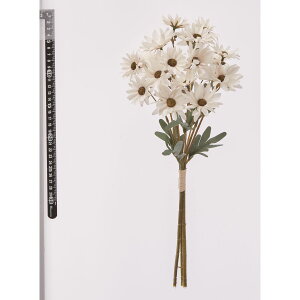 yԁzAXJ/f[W[o`(13{) AC{[/A-35296-91y01z ԁiA[eBtBVt[j  ԍށusv f[W[