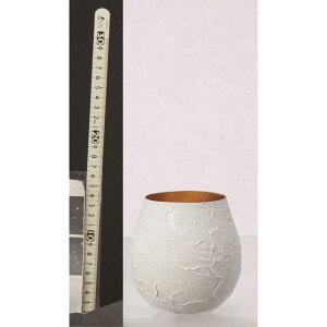 AXJ/x[X/A-10715y01z ԊA[X ԊEԕr uLEACA