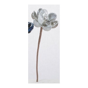 yԁzAXJ/}OmAsbN Vo[/AX60831-50y01z ԁiA[eBtBVt[j  ԍށu܍sv Niؘ@jE}OmA