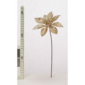 yԁzAXJ/Ob^[|CZ`AsbN/AX60923y01z ԁiA[eBtBVt[j  ԍށu͍sv |CZ`A