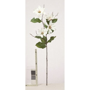 yԁzAXJ/}OmA×4 zCg/A-35262-1y01z ԁiA[eBtBVt[j  ԍށu܍sv Niؘ@jE}OmA