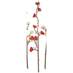 yԁzAXJ/~sbN×8 bh/A-73468-2y01z ԁiA[eBtBVt[j  ԍށusv Ei~j