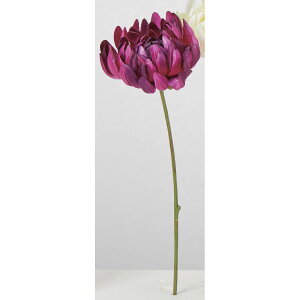 yԁzAXJ/}sbN p[v/A-35256-7y01z ԁiA[eBtBVt[j  ԍށusv LNiejEs|}