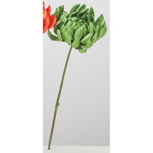 yԁzAXJ/}sbN O[eB[/A-35256-53Ty01z ԁiA[eBtBVt[j  ԍށusv LNiejEs|}