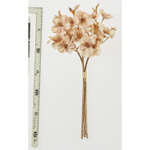 yԁzAXJ/VCj[ubTo`(13{) \tgx[W/A-73462-8Ay01z ԁiA[eBtBVt[j  ԍށu͍sv ̑u͍svԉԍ