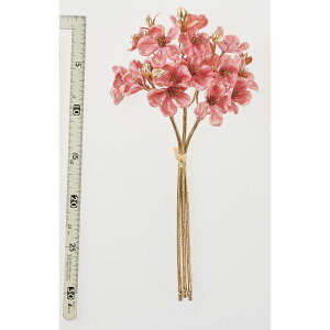 yԁzAXJ/VCj[ubTo`(13{) [usN/A-73462-55Py01z ԁiA[eBtBVt[j  ԍށu͍sv ̑u͍svԉԍ